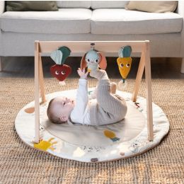 Tiny Love Luxe Gymini Garden Of Adventures