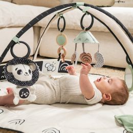 Tiny Love Classic Gymini Decor Black & White