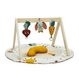 Tiny Love Luxe Gymini Garden Of Adventures