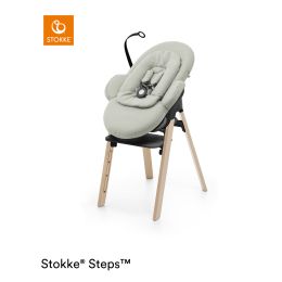 Stokke® Steps™ Bouncer Soft Sage On Black Frame