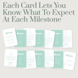 Owlet Milestone Cards